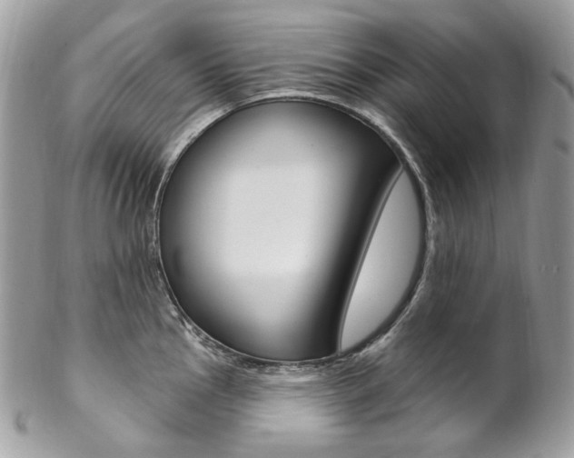X0000102851145200808181041
