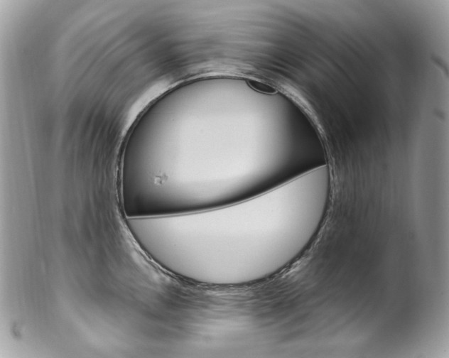 X0000102851146200808181041