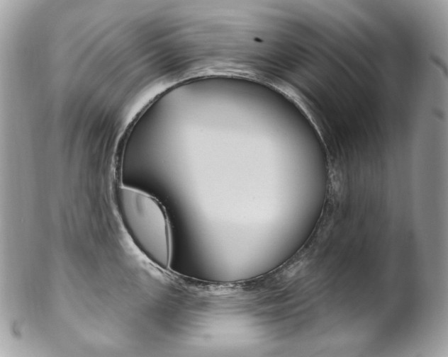 X0000102851147200808181041