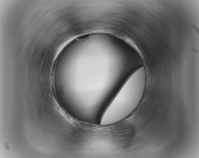 X0000102851148200808181041