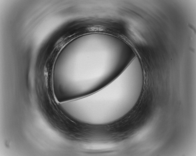 X0000102851151200808181041