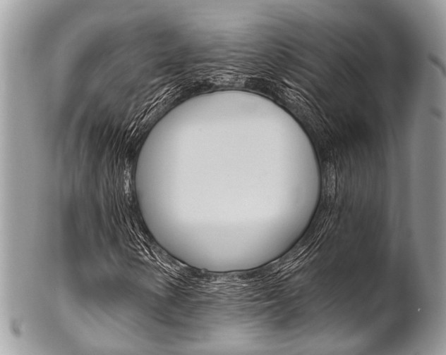 X0000102851154200808181041