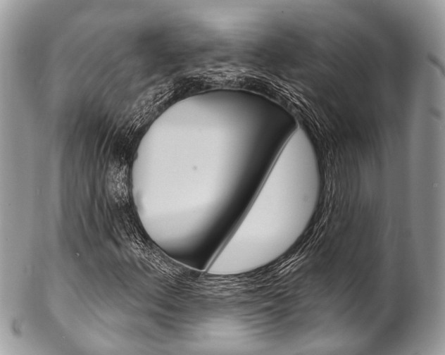 X0000102851156200808181041