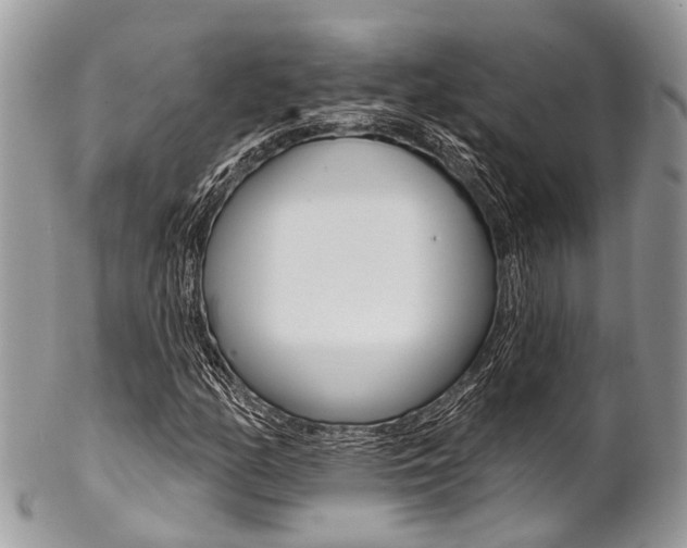 X0000102851158200808181040