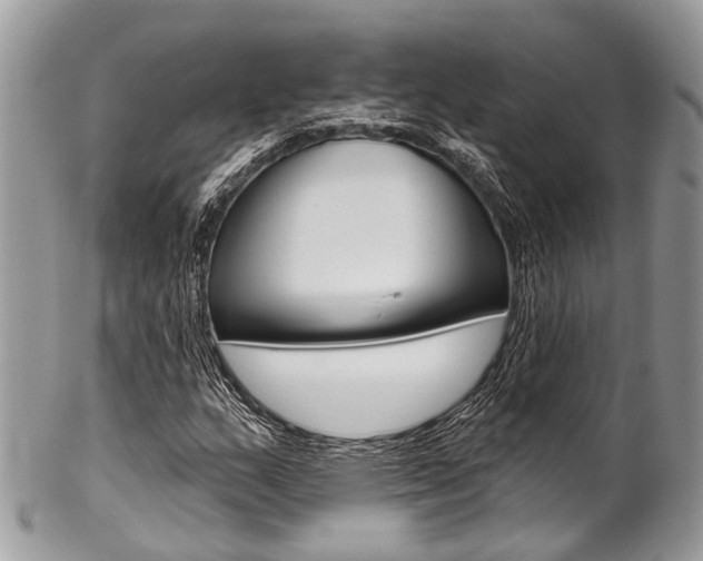 X0000102851159200808181040