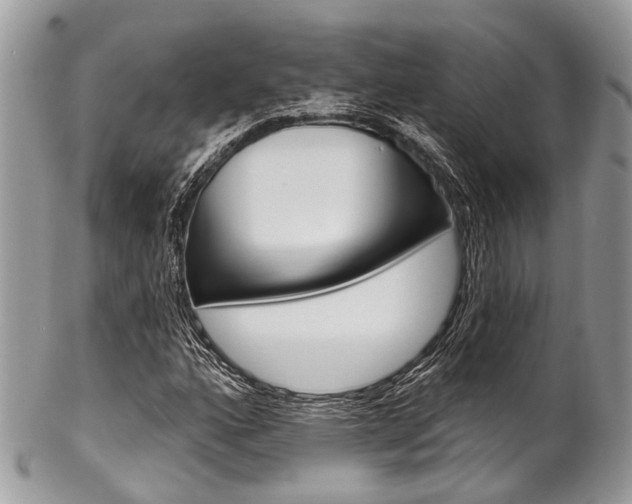 X0000102851160200808181040