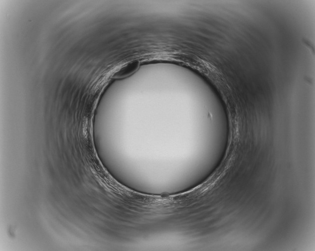 X0000102851161200808181040
