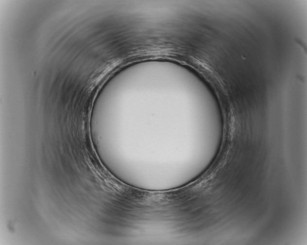 X0000102851162200808181040