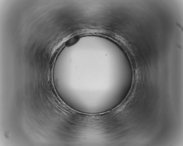 X0000102851165200808181040