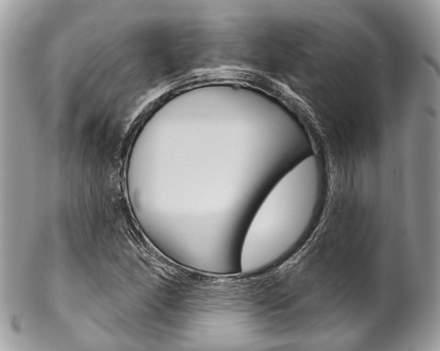 X0000102851166200808181040