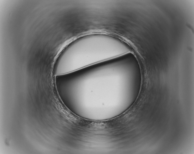 X0000102851168200808181040