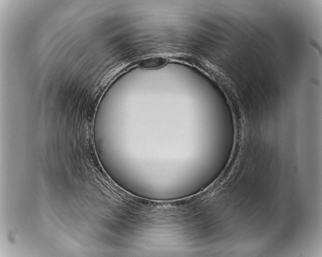 X0000102851169200808181040