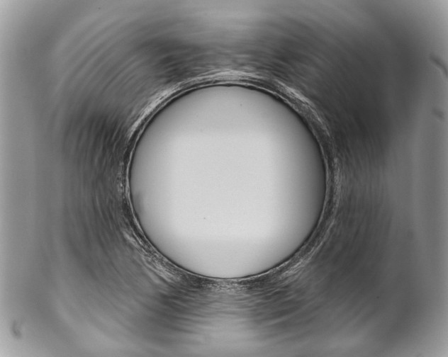 X0000102851170200808181040