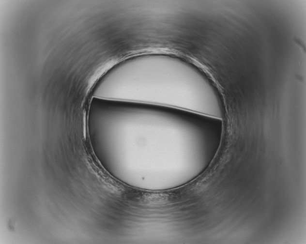 X0000102851171200808181040