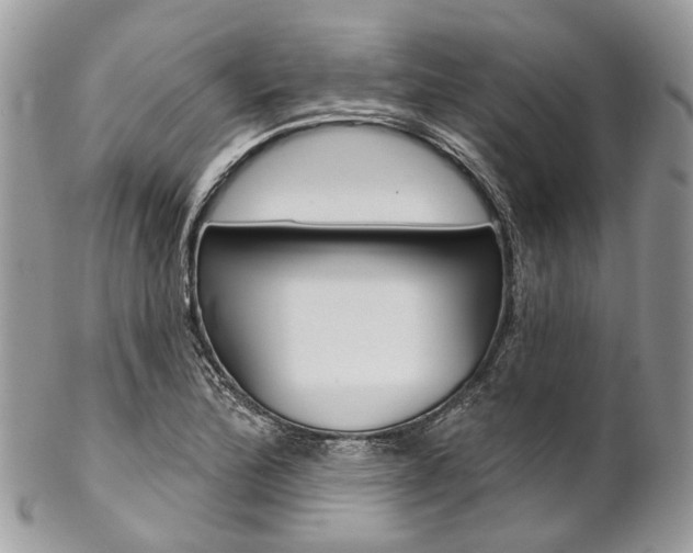 X0000102851172200808181040