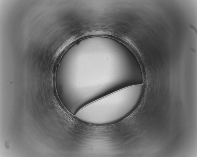 X0000102851173200808181040