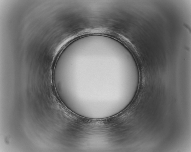 X0000102851174200808181040