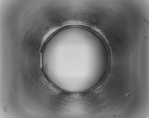 X0000102851175200808181040