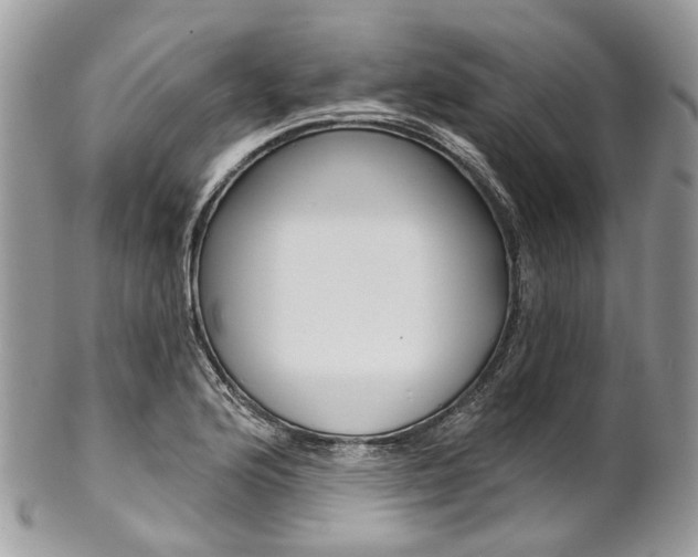 X0000102851176200808181040