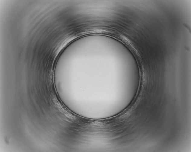 X0000102851178200808181040