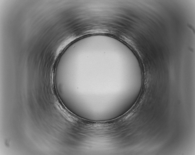 X0000102851179200808181040