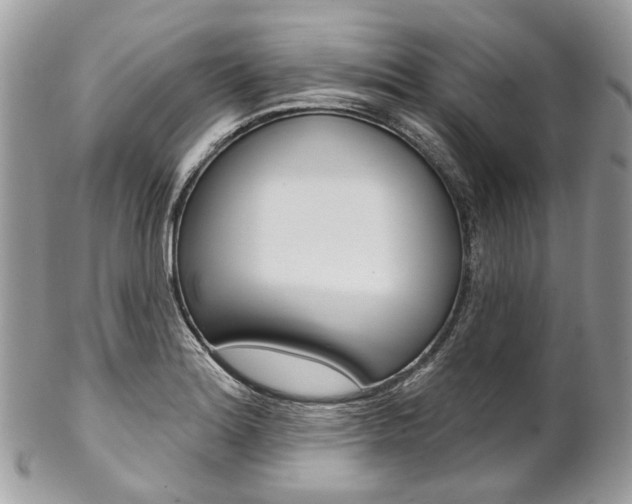 X0000102851180200808181040