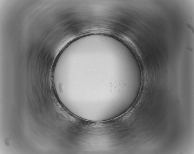 X0000102851182200808181040
