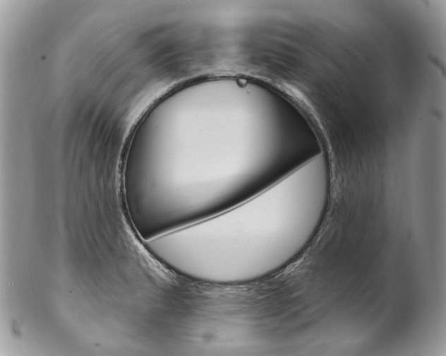 X0000102851183200808181040
