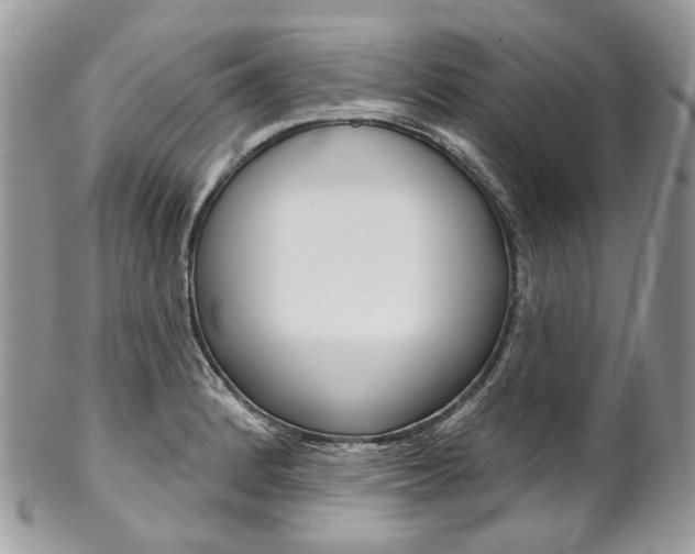 X0000102851184200808181040
