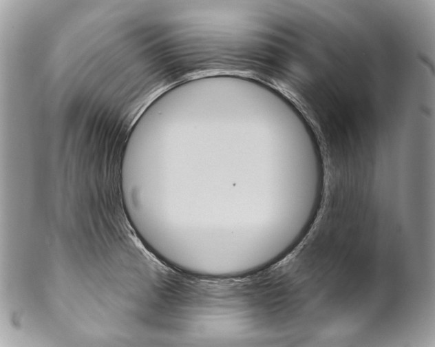 X0000102851185200808181040