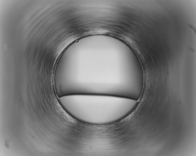 X0000102851186200808181040