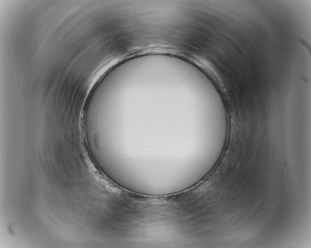 X0000102851190200808181040