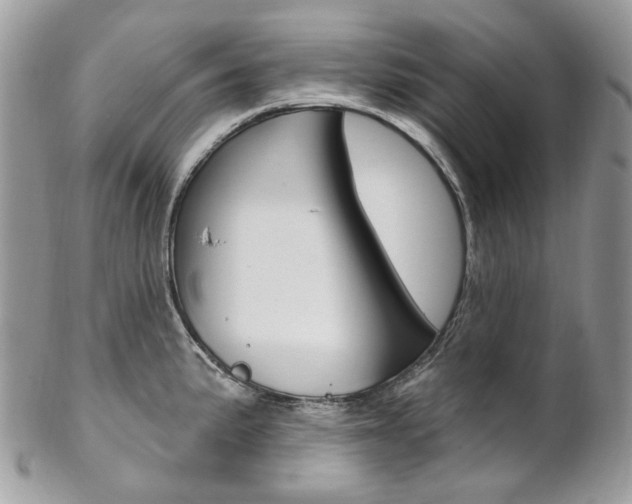 X0000102851191200808181040