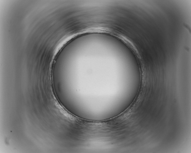 X0000102851192200808181040