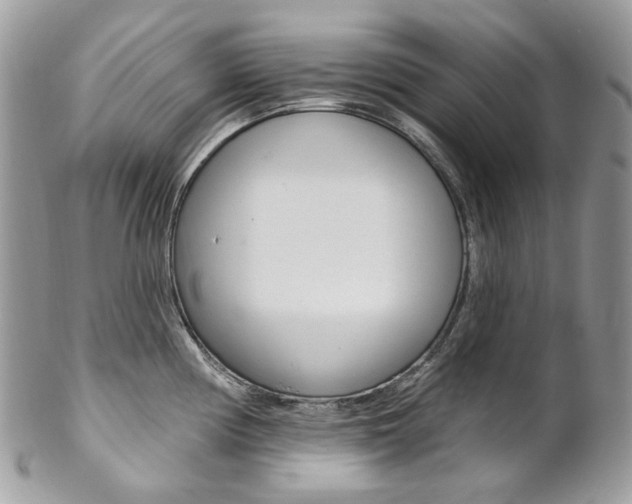 X0000102851194200808181040