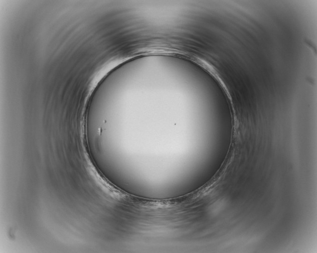 X0000102851195200808181040
