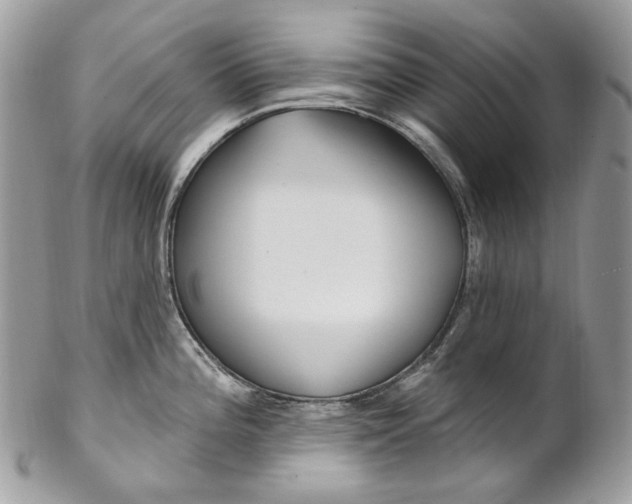 X0000102851196200808181040