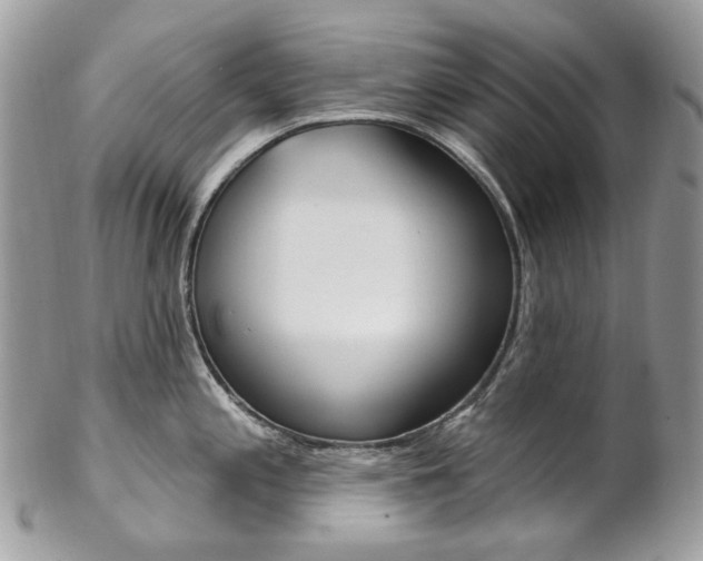 X0000102851197200808181040