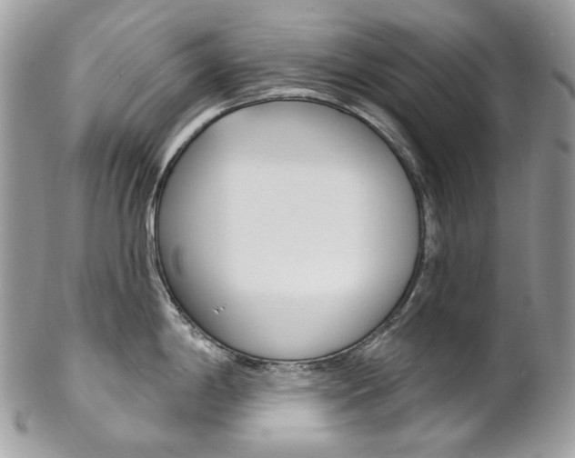 X0000102851198200808181040
