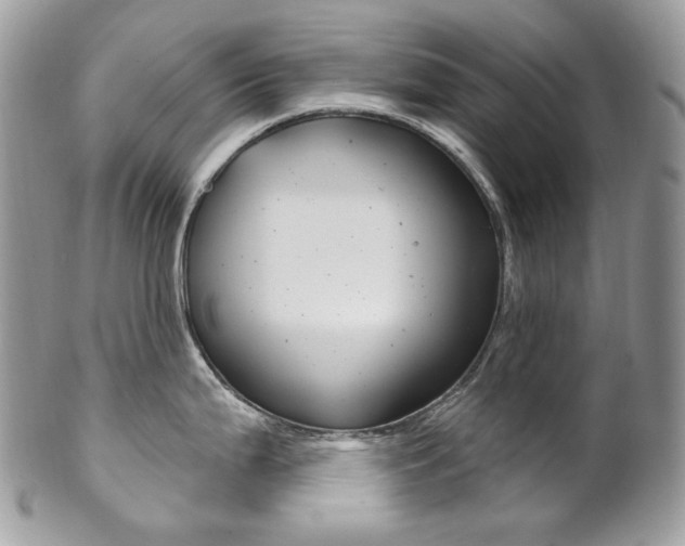 X0000102851199200808181040