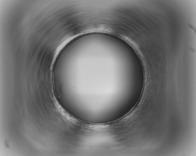 X0000102851200200808181040