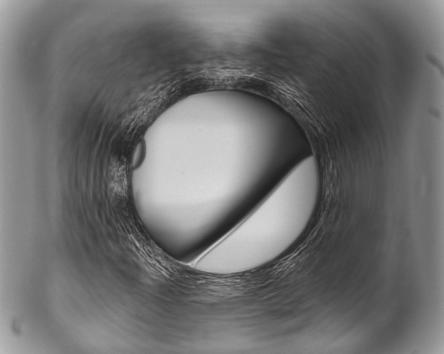 X0000102851204200808181039