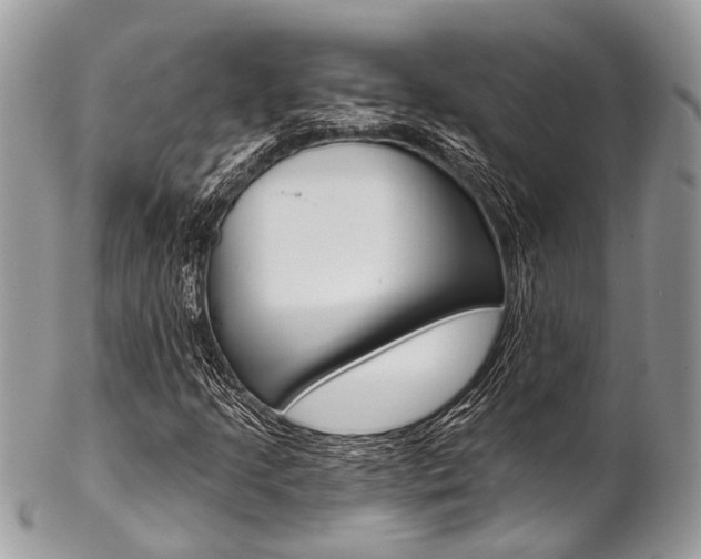 X0000102851205200808181039