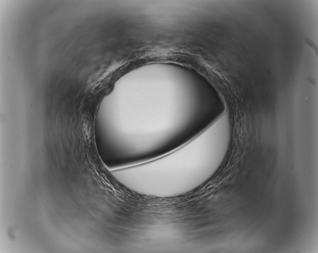 X0000102851206200808181039