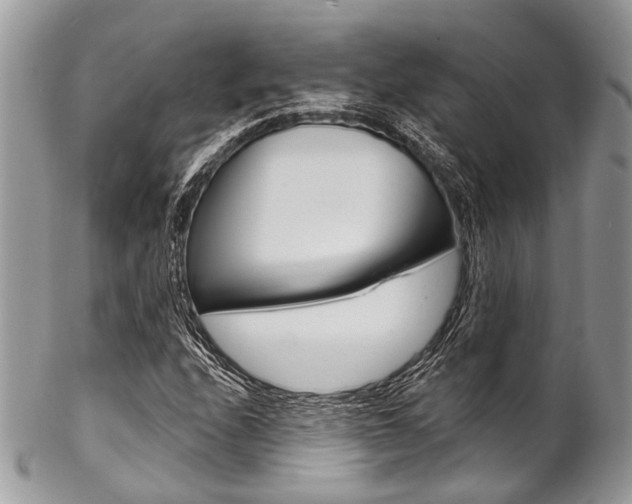 X0000102851208200808181039