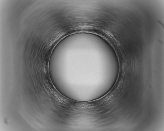 X0000102851209200808181039
