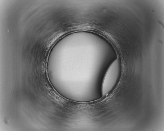 X0000102851212200808181039