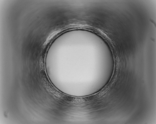 X0000102851215200808181039