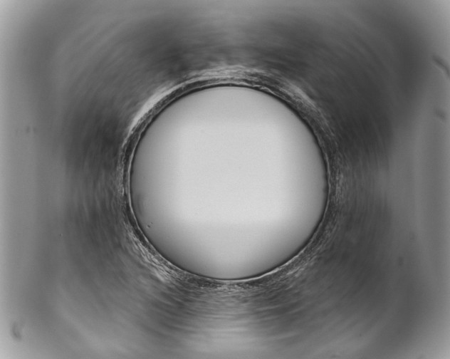 X0000102851216200808181039