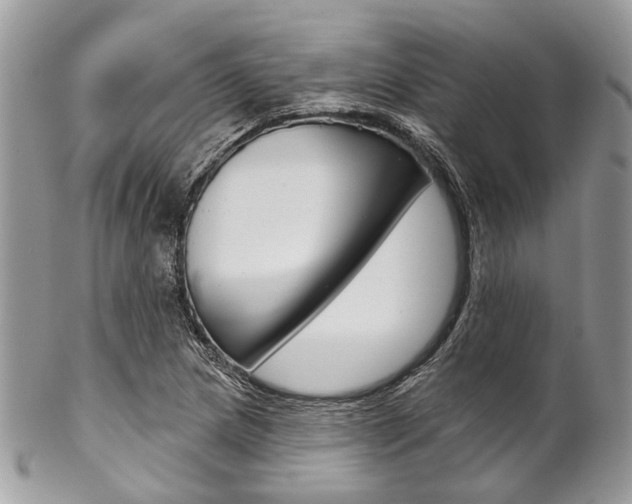 X0000102851217200808181039